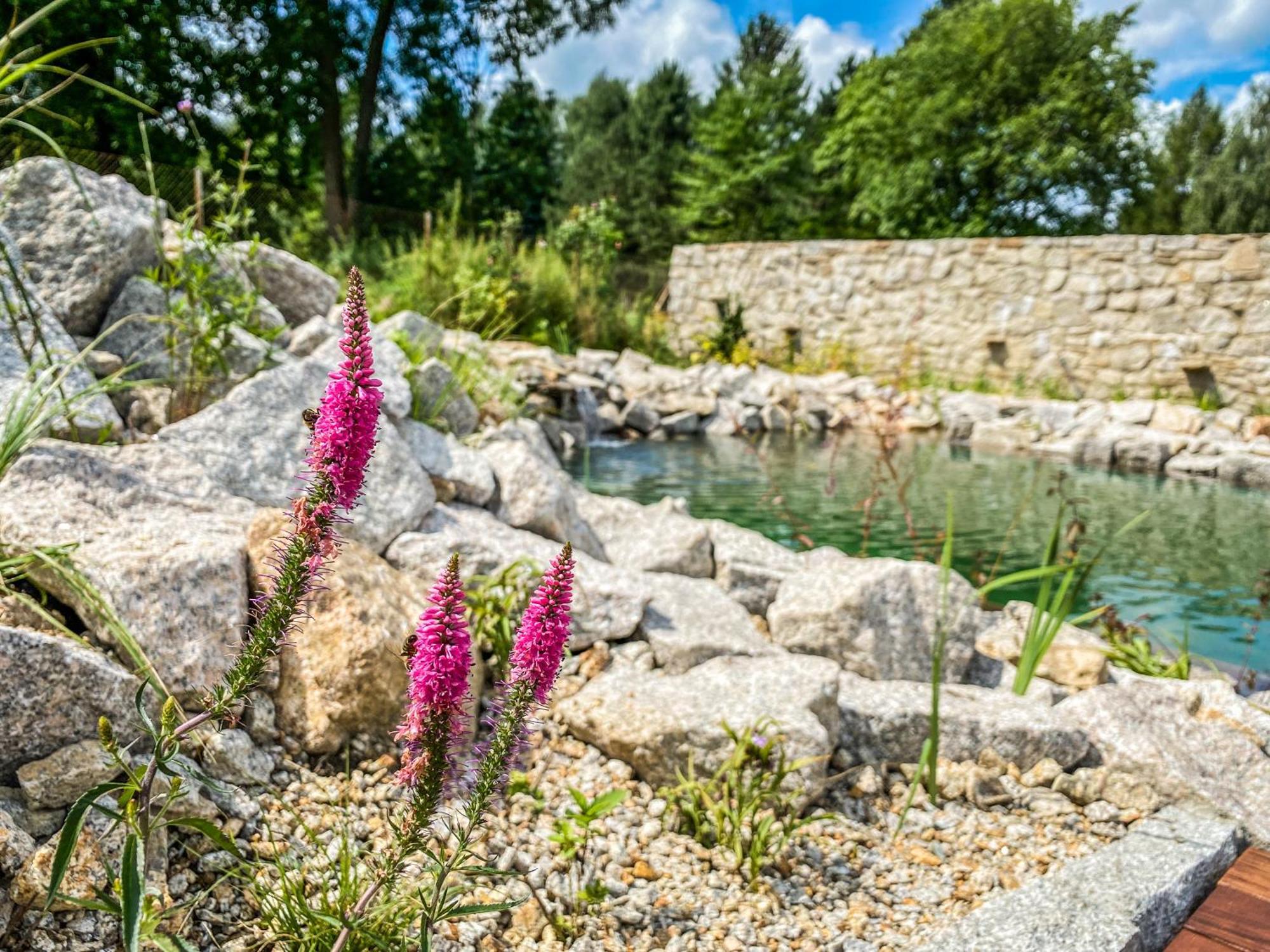 Chalupa Ludvikov Nove Mesto pod Smrkem Bagian luar foto